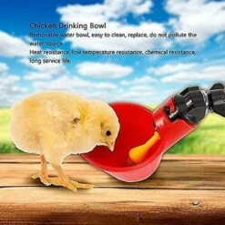 ZHUOXUAN Abreuvoir De Volaille 5 Pièces, Abreuvoir De Poulet, Abreuvoir De Poulet Automatique -Poulailler et élevage de la basse-cour Soldes 2022 68274935 3